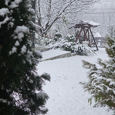 Casa Alex Hotell Sărata-Monteoru Eksteriør bilde