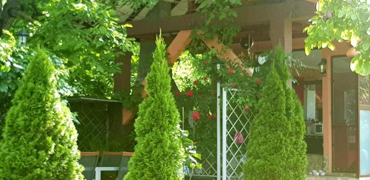 Casa Alex Hotell Sărata-Monteoru Eksteriør bilde