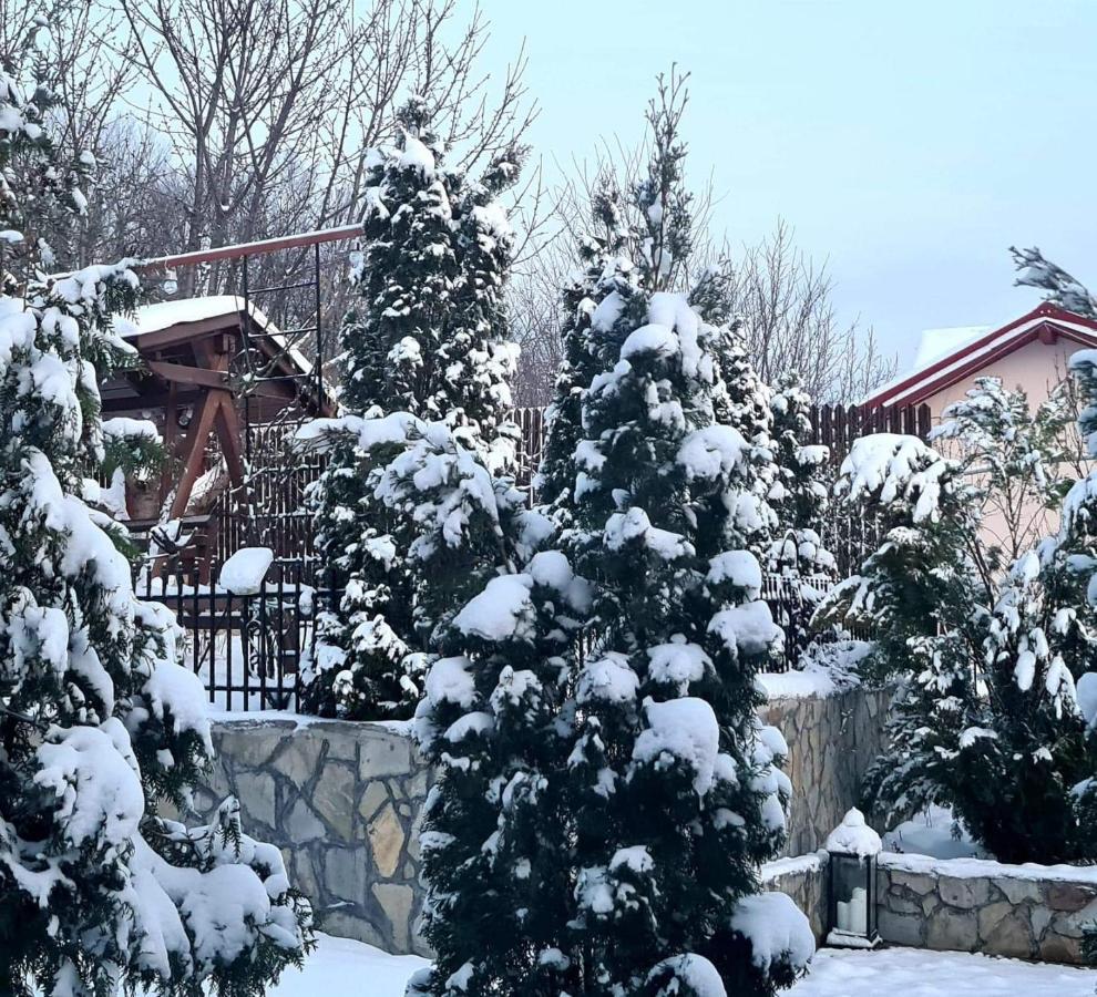 Casa Alex Hotell Sărata-Monteoru Eksteriør bilde
