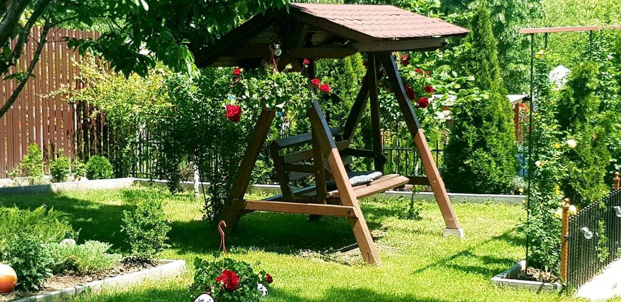 Casa Alex Hotell Sărata-Monteoru Eksteriør bilde