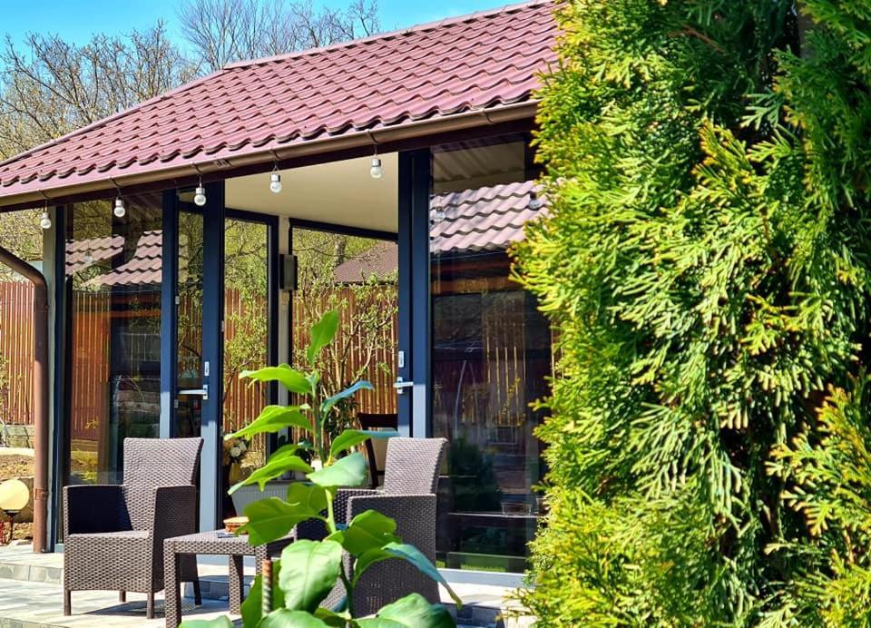 Casa Alex Hotell Sărata-Monteoru Eksteriør bilde