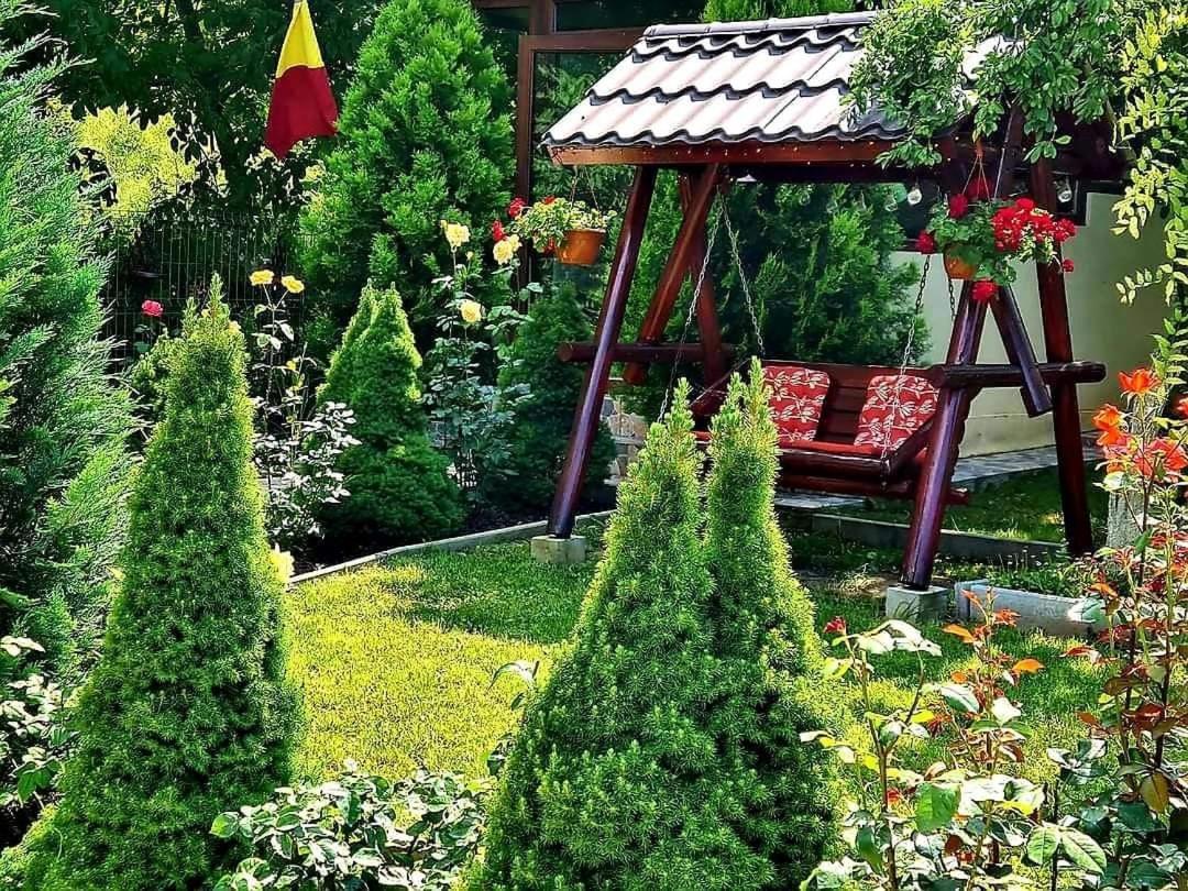Casa Alex Hotell Sărata-Monteoru Eksteriør bilde