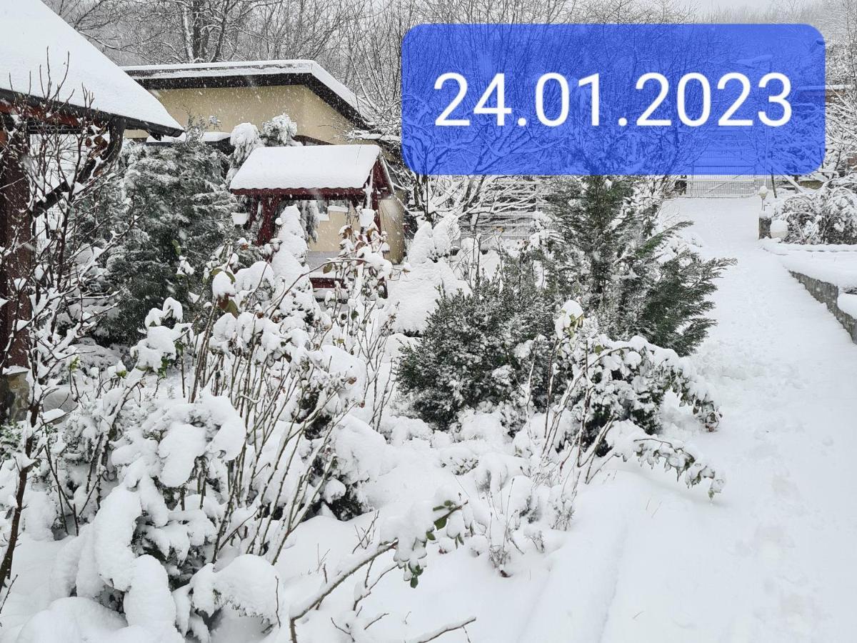 Casa Alex Hotell Sărata-Monteoru Eksteriør bilde