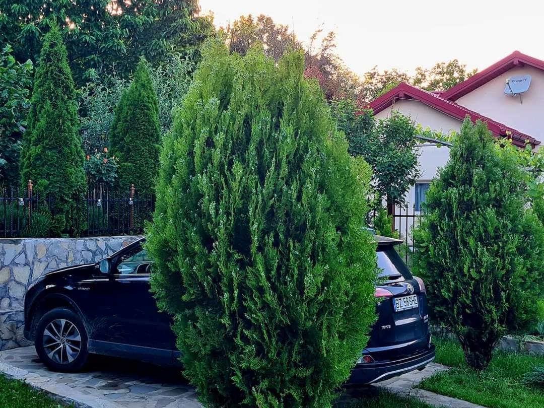 Casa Alex Hotell Sărata-Monteoru Eksteriør bilde