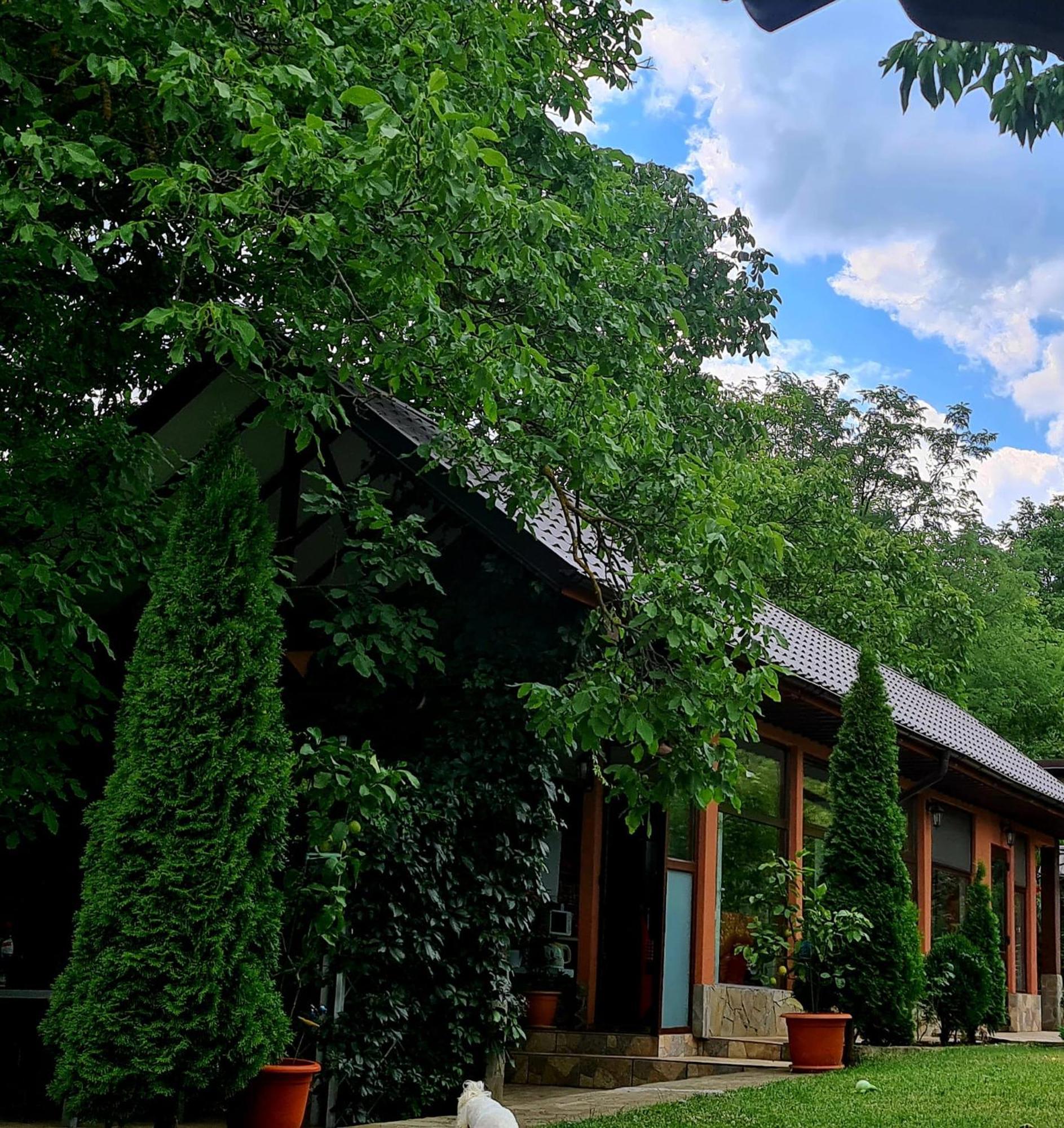 Casa Alex Hotell Sărata-Monteoru Eksteriør bilde